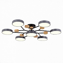 Люстра на штанге EVOLUCE FAEMA / ФАЕМА SLE6006-702-07