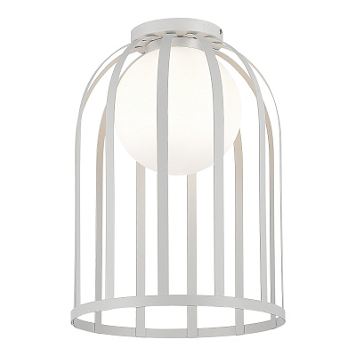 Потолочный светильник ST LUCE NORDIC / НОРДИК SL6129.502.01