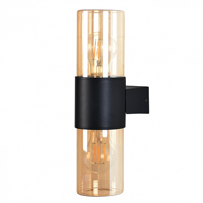 Уличный настенный светильник ARTE LAMP SEGINUS A6515AL-2BK
