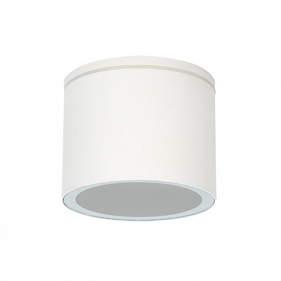 Уличный потолочный светильник ARTE LAMP PIAUTOS A1913PF-1WH