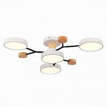 Люстра на штанге EVOLUCE FAEMA / ФАЕМА SLE6006-502-04