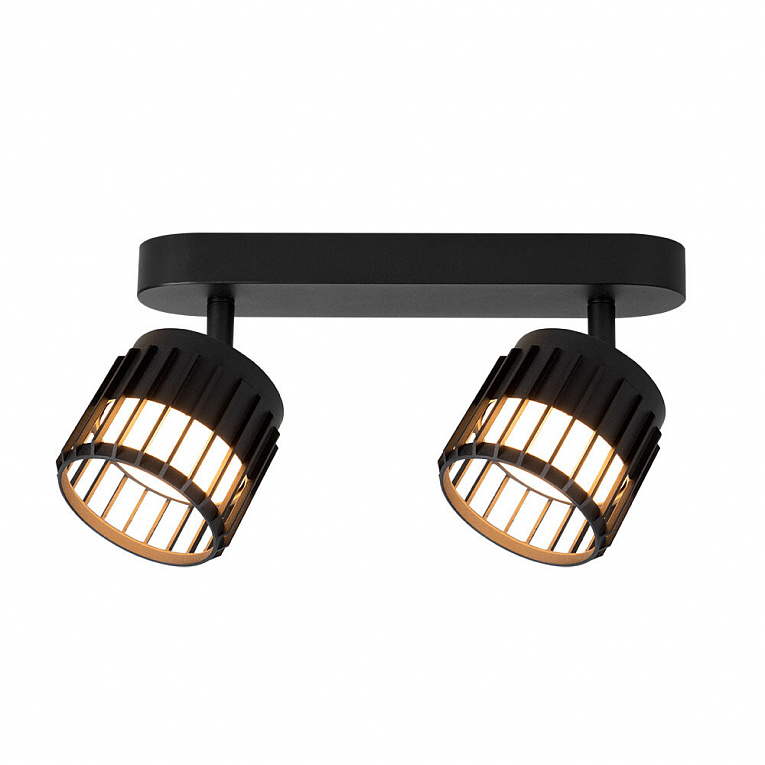 Спот потолочный ARTE LAMP ATRIA A8031PL-2BK